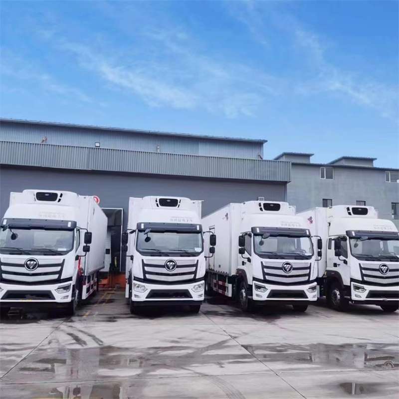 永城市新龙县进仓物流：多元专线直达运输探秘